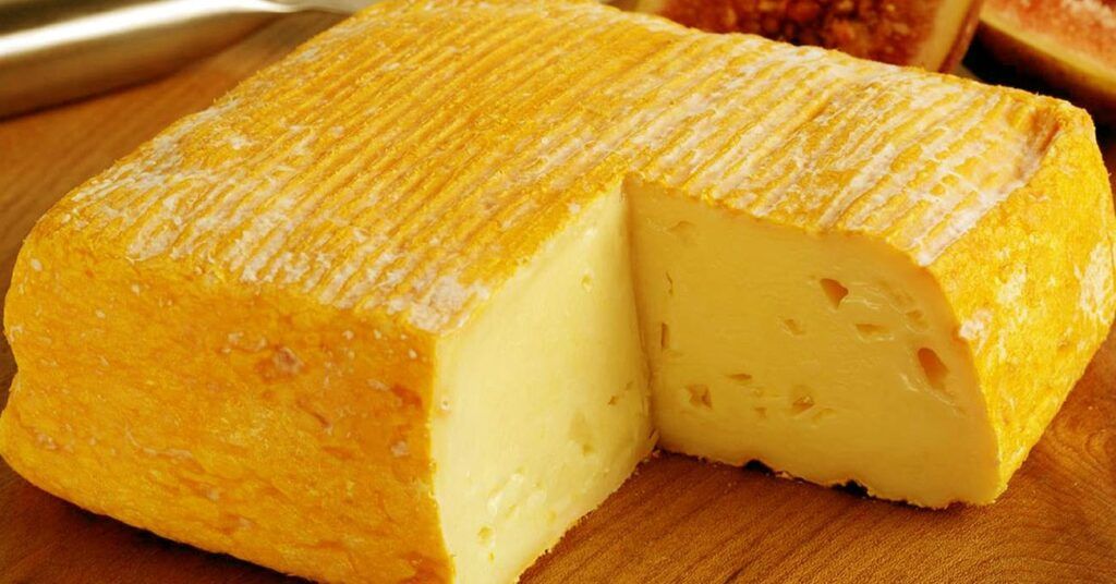vieux boulogne cheese