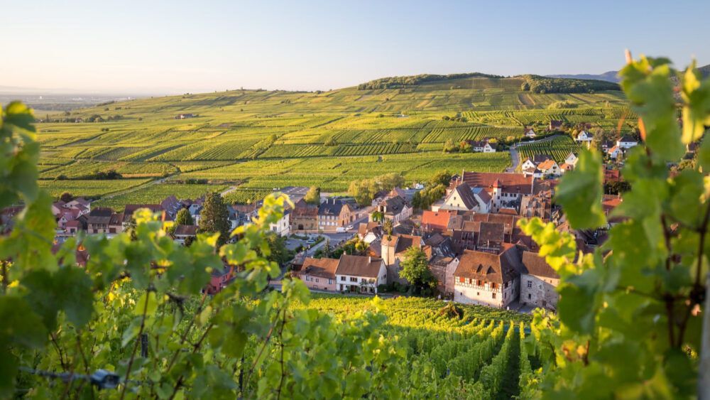 Molsheim y la Route des Vins