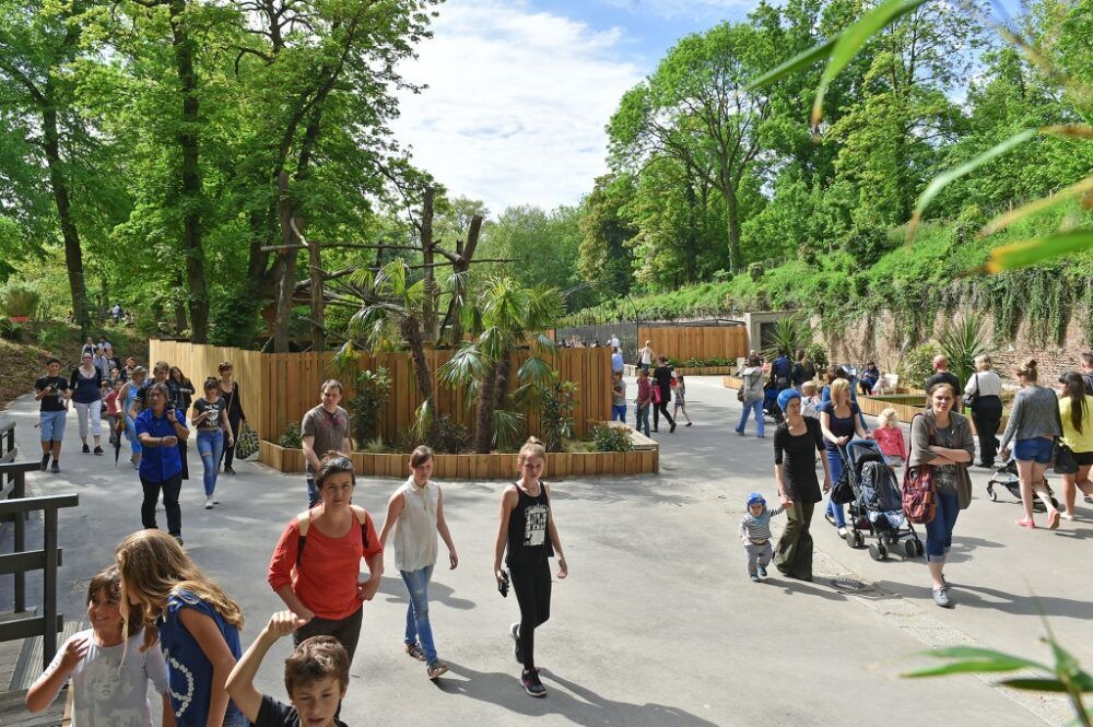 Parc Zoologique de Lille