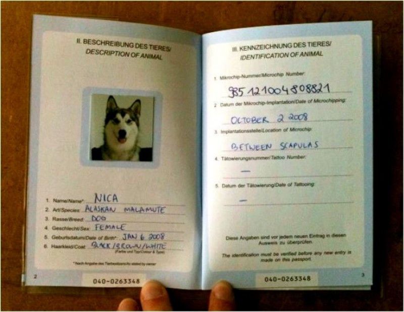 pasaporte de la UE para animales