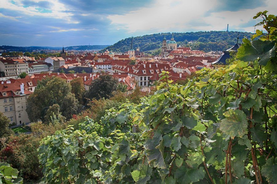 mejores viñedos de la República Checa