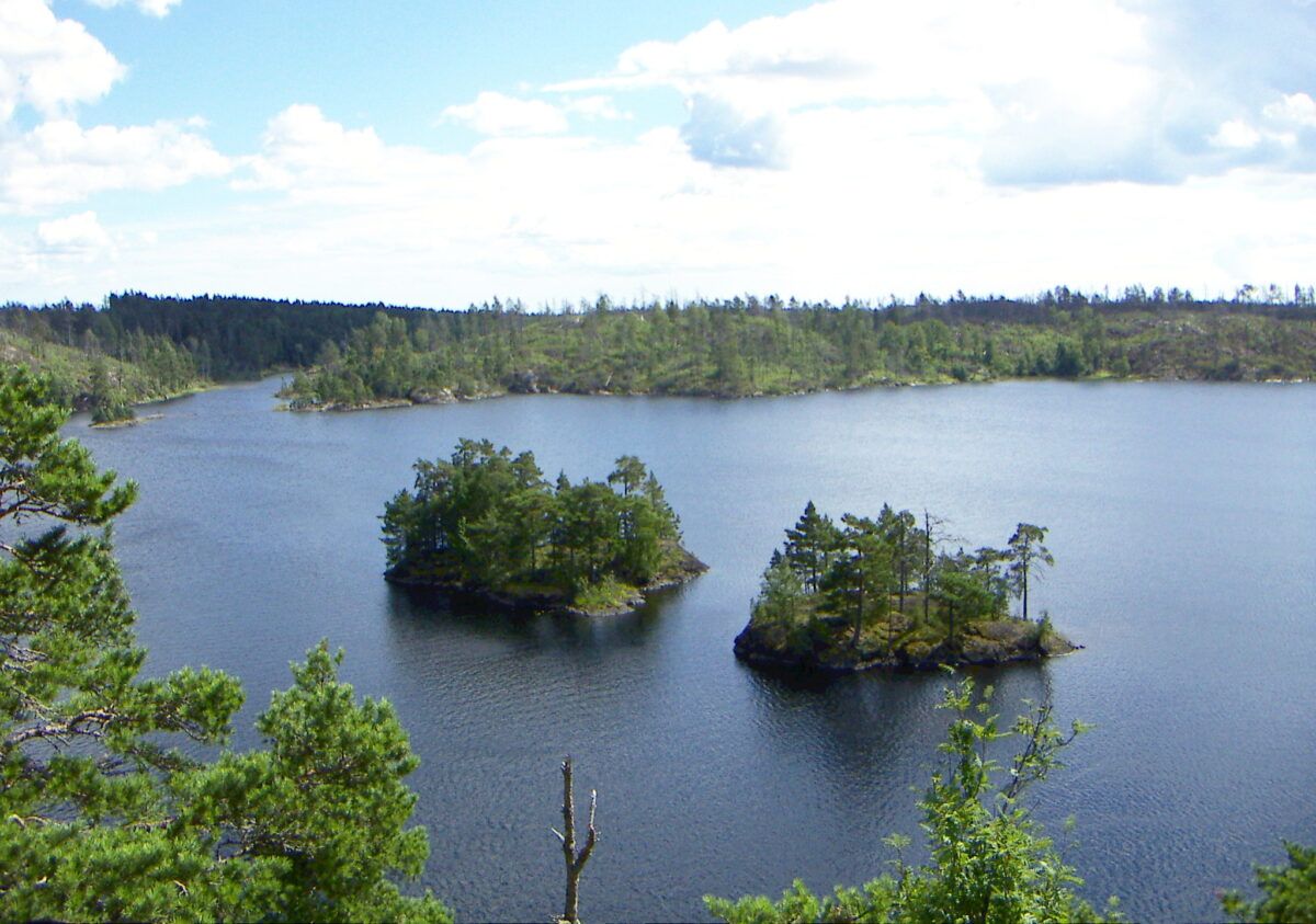 Los 10 Parques Nacionales más hermosos de Suecia 1