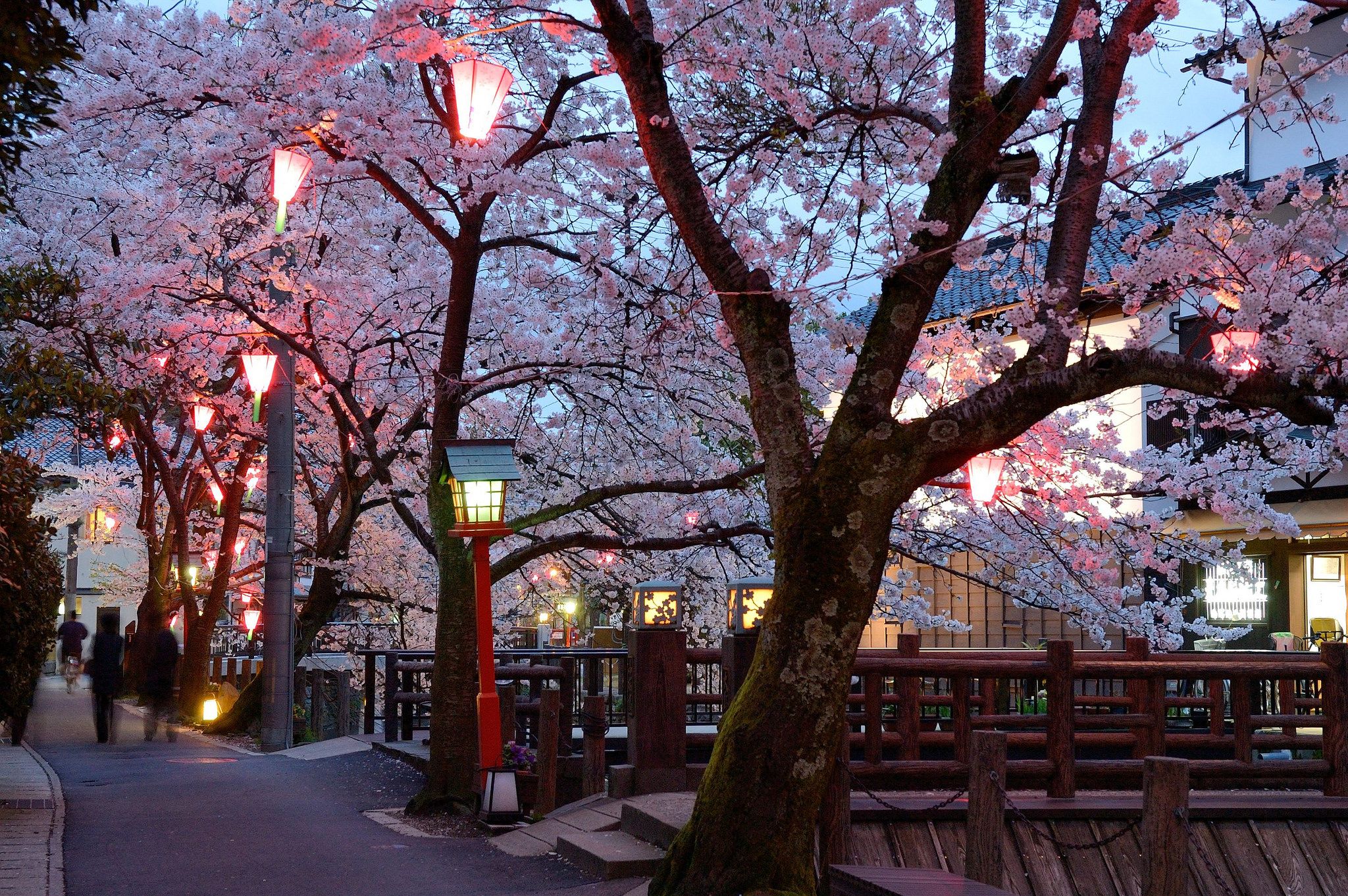 17 Mejores Lugares para Visitar en Japón 15