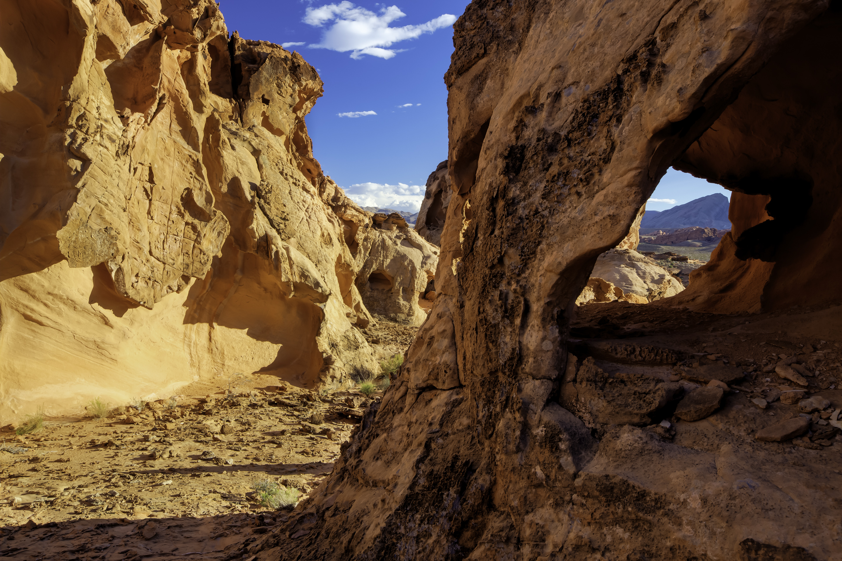12 Mejores Parques Nacionales y Estatales de Nevada 9
