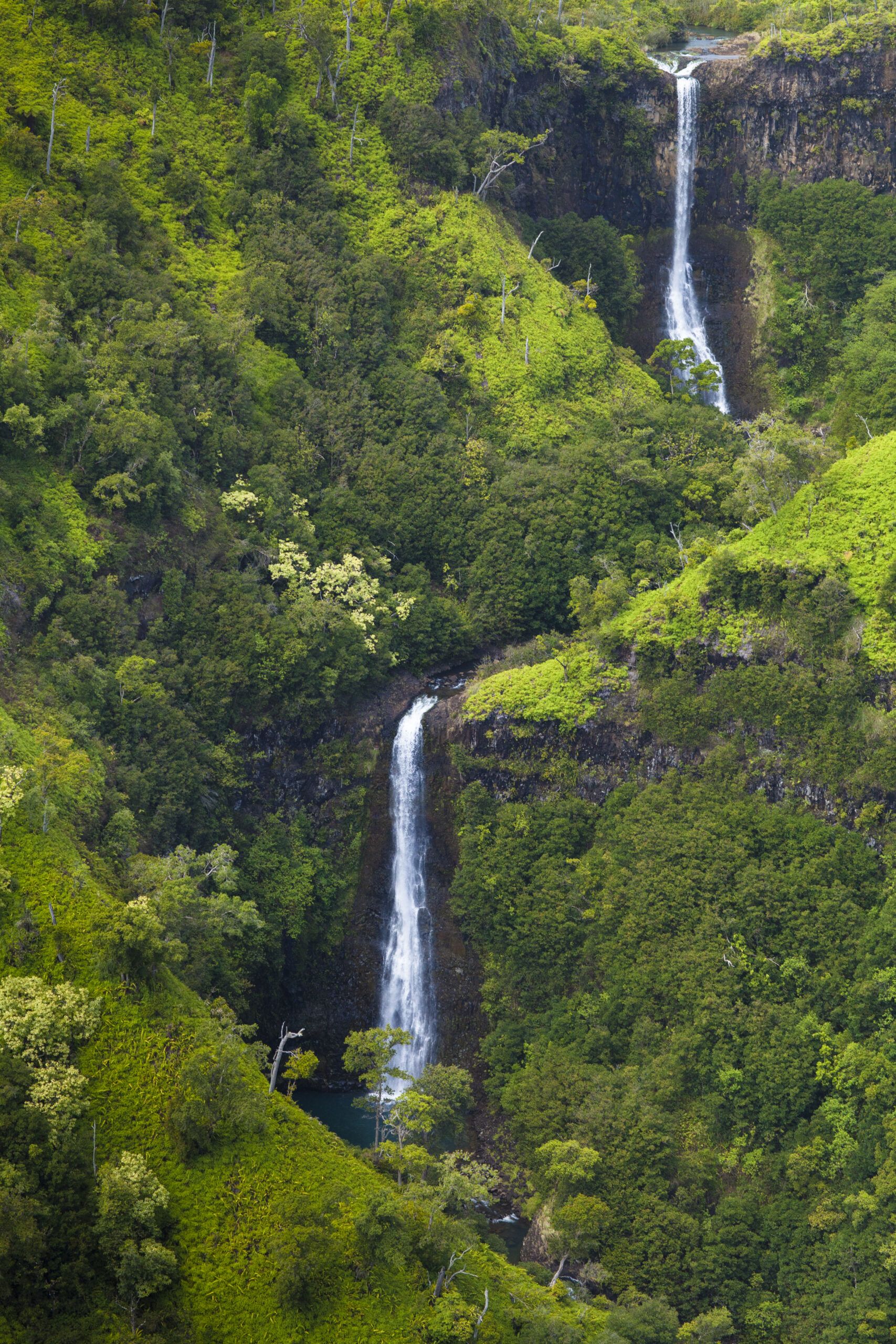 13 razones para mudarse a Kauai 7