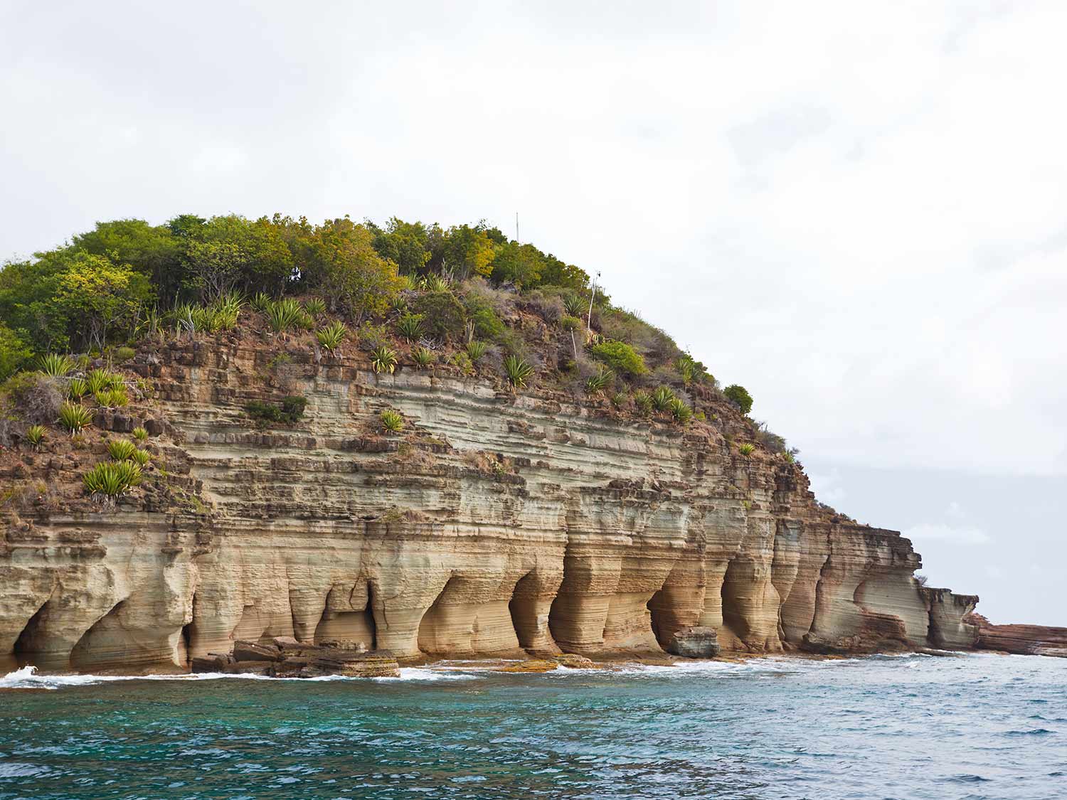 Los mejores lugares del Caribe para hacer Snorkel en Antigua 6