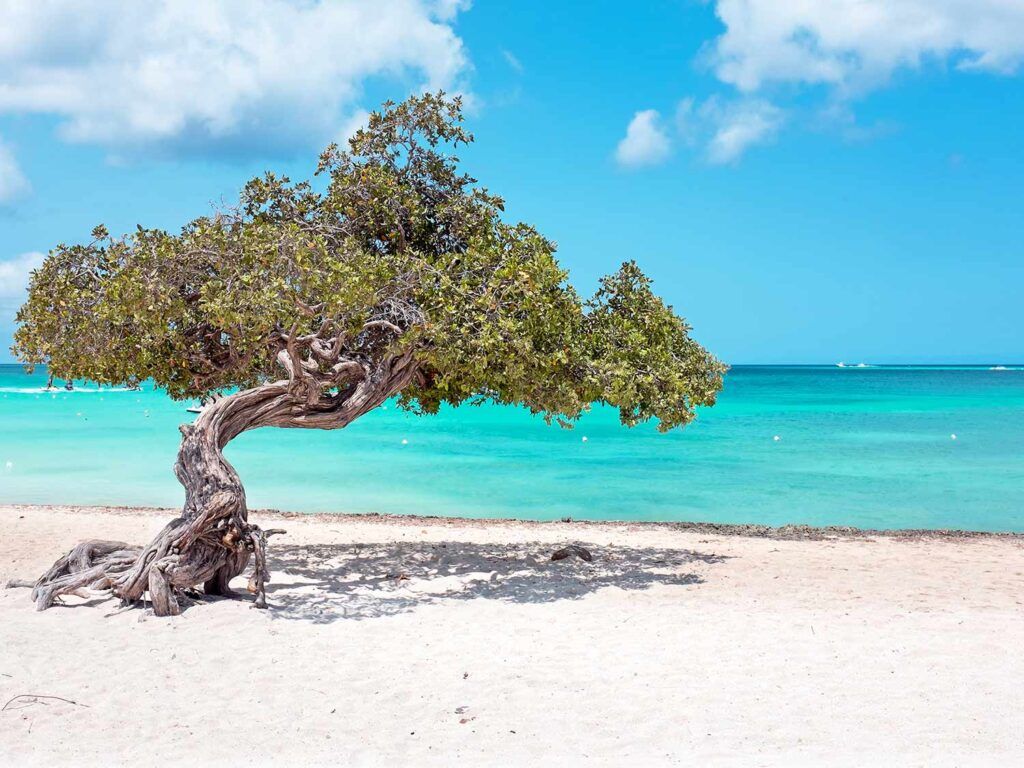 Los mejores resorts todo incluido en Aruba 16