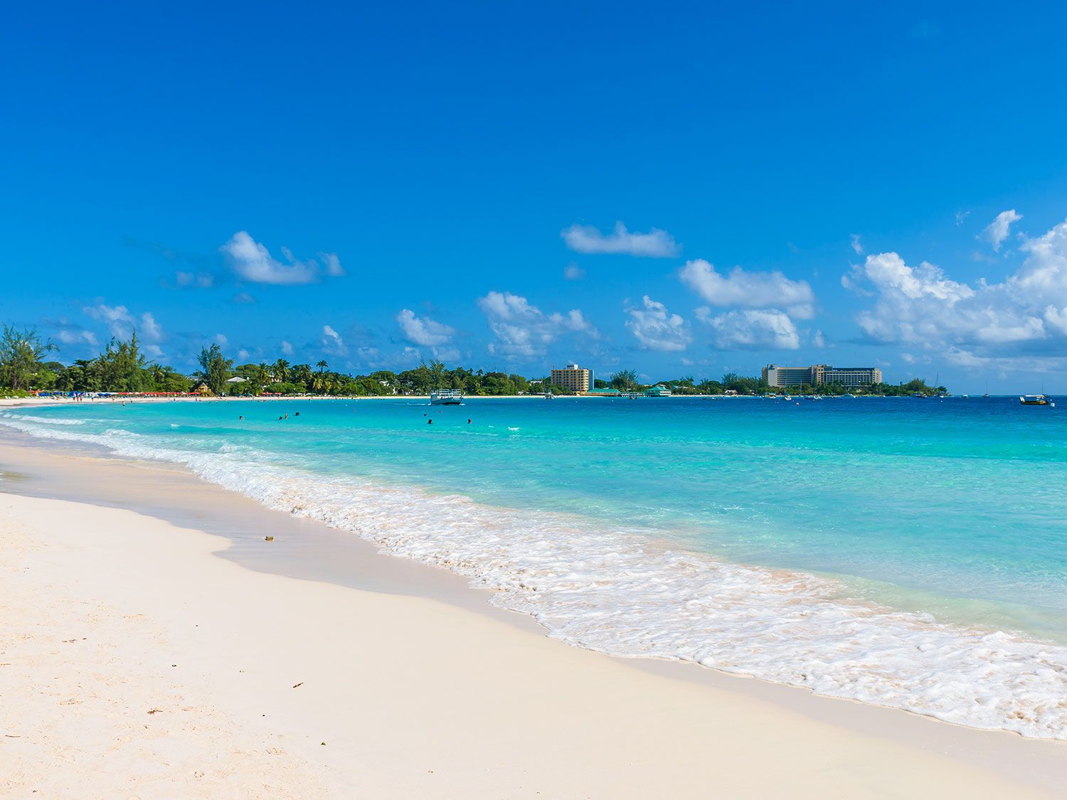Los mejores lugares para bucear en Barbados