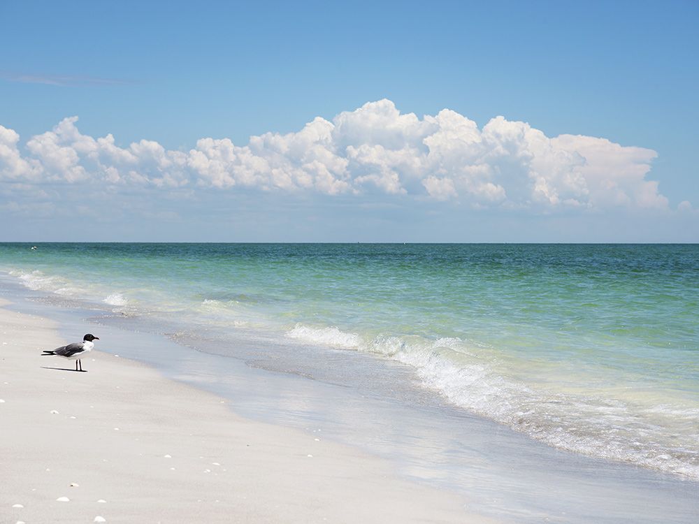 Los 10 mejores destinos de vacaciones en la playa en los EE. UU. 5