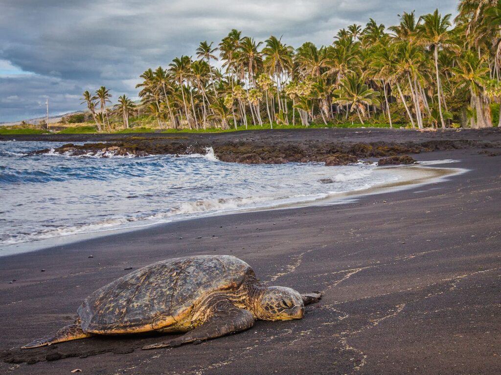 Las 10 mejores playas de la isla grande de Hawái 86