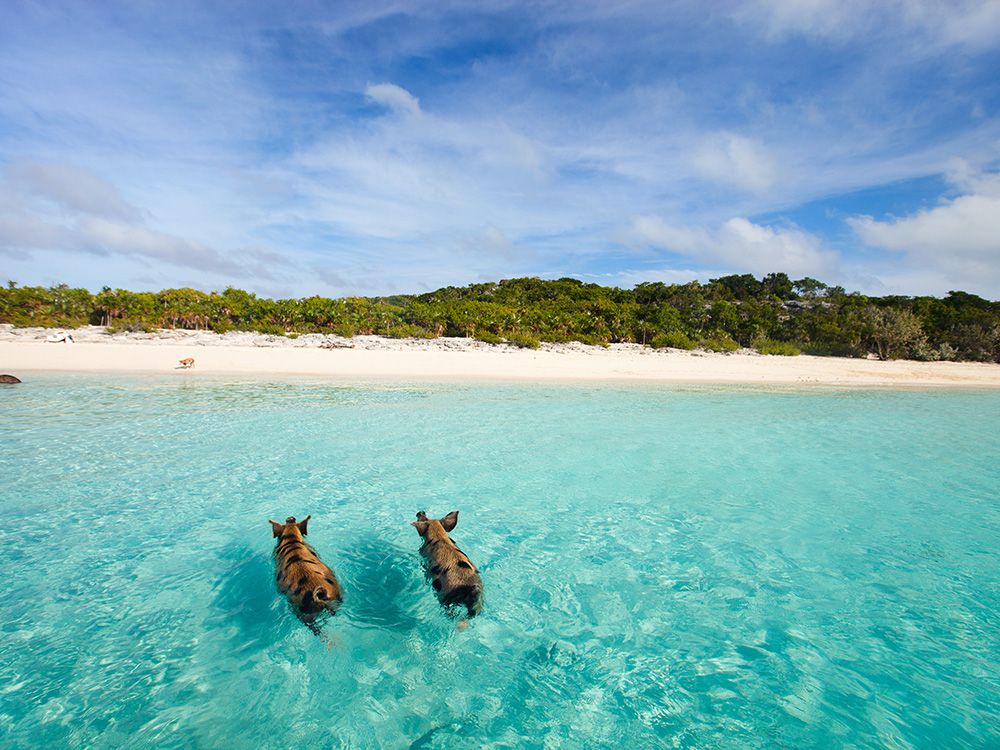 Las 25 mejores playas del Caribe 17
