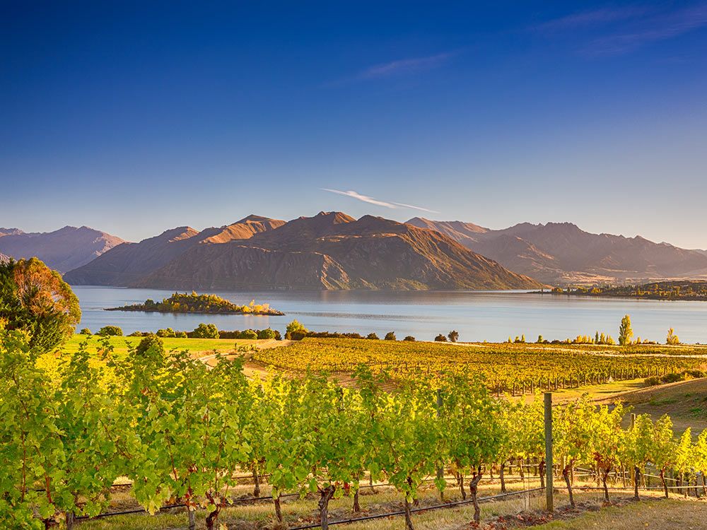 Las 10 mejores islas para catar vinos 5