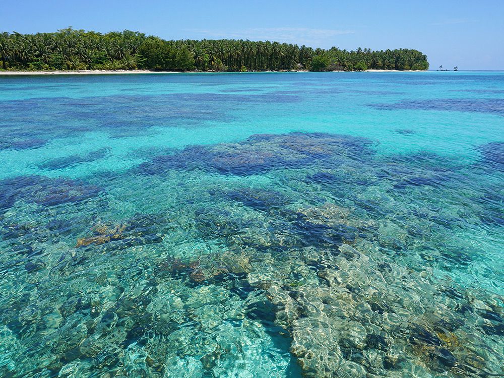 Los mejores lugares para hacer snorkel en Panamá y Costa Rica 5
