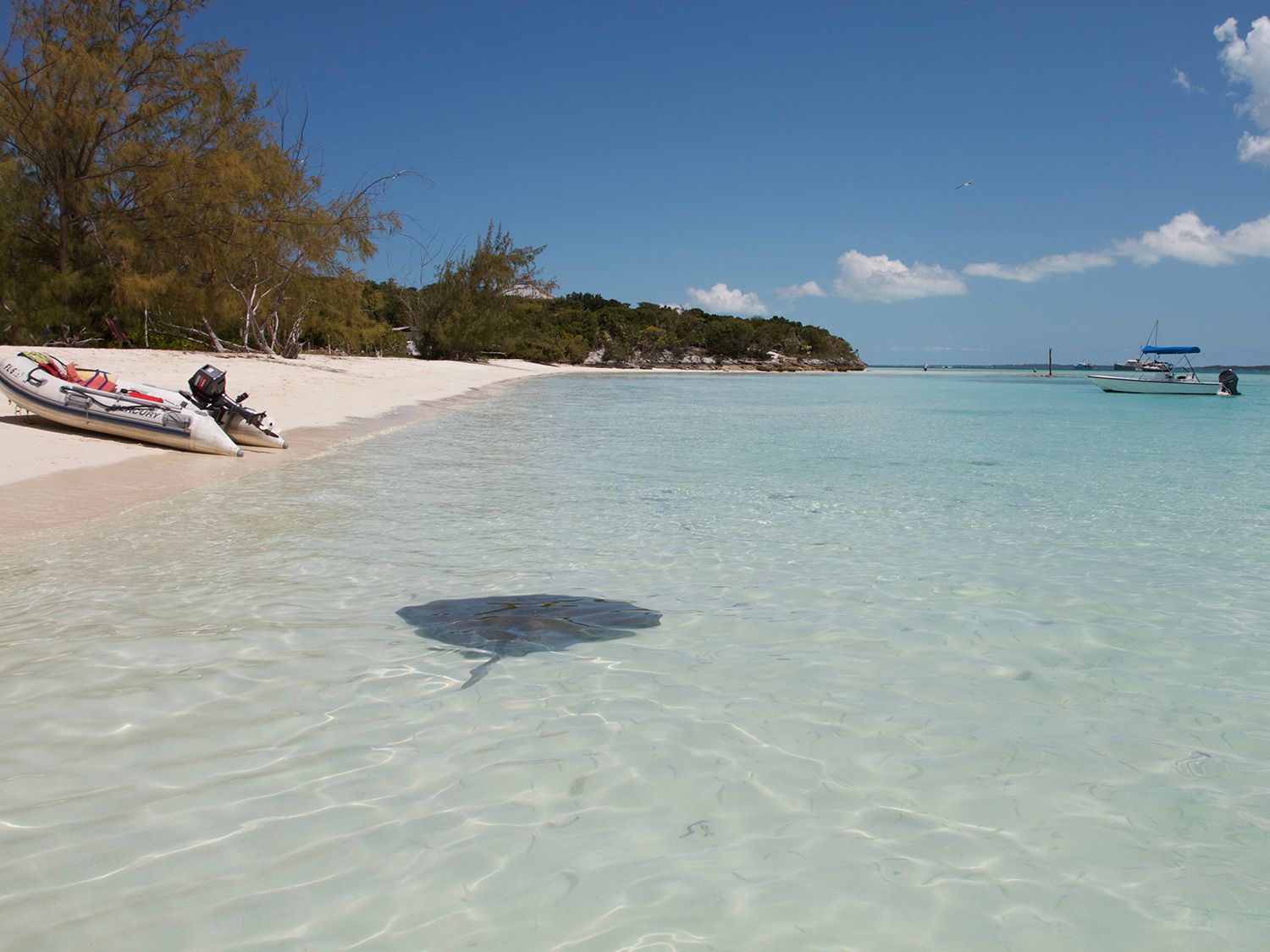 Los mejores lugares para hacer snorkel en las Bahamas 4