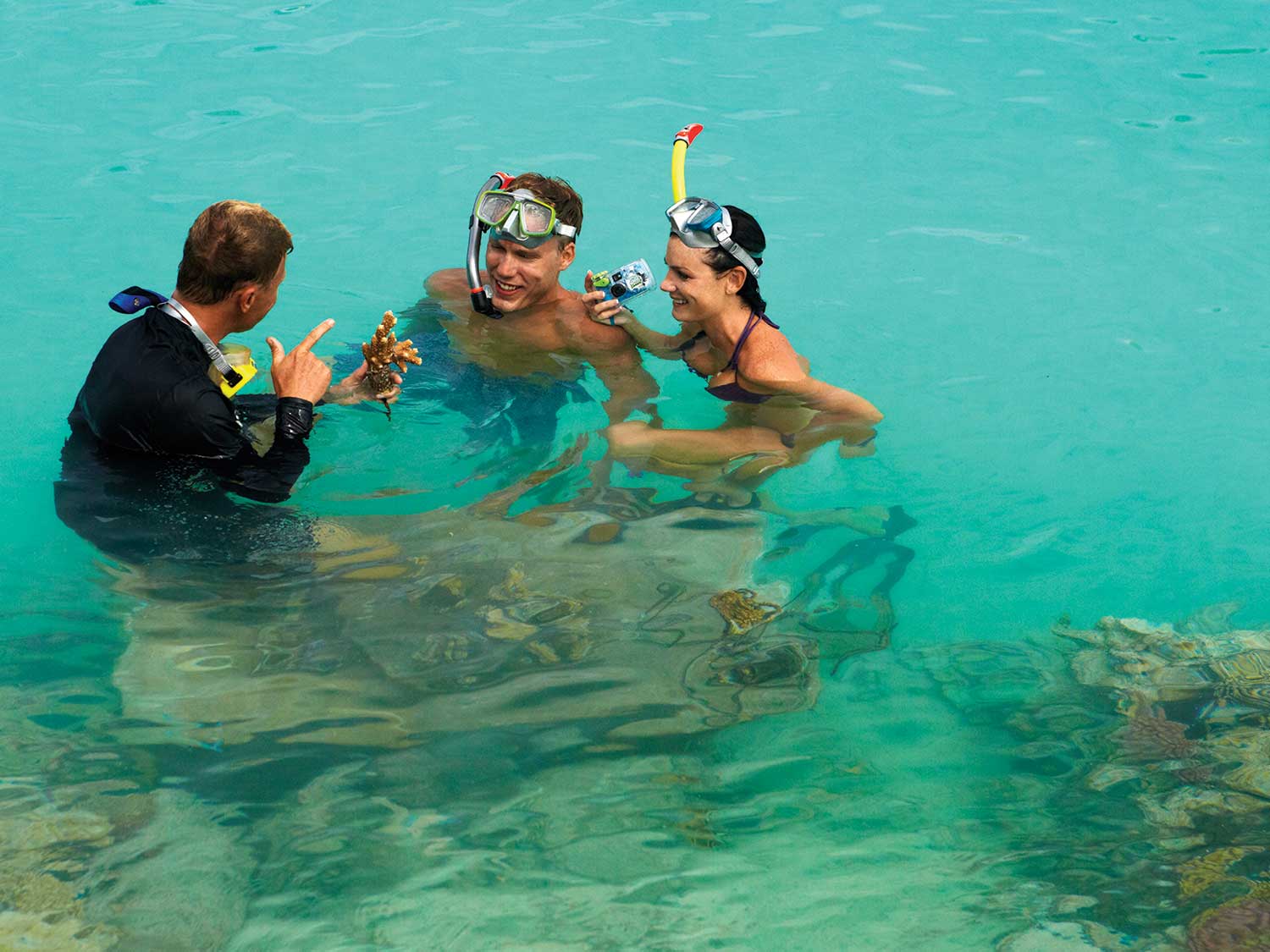 El mejor snorkel en Bora Bora 2