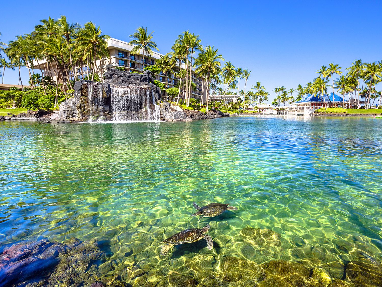 Los 10 hoteles y resorts más asequibles de Hawái 9