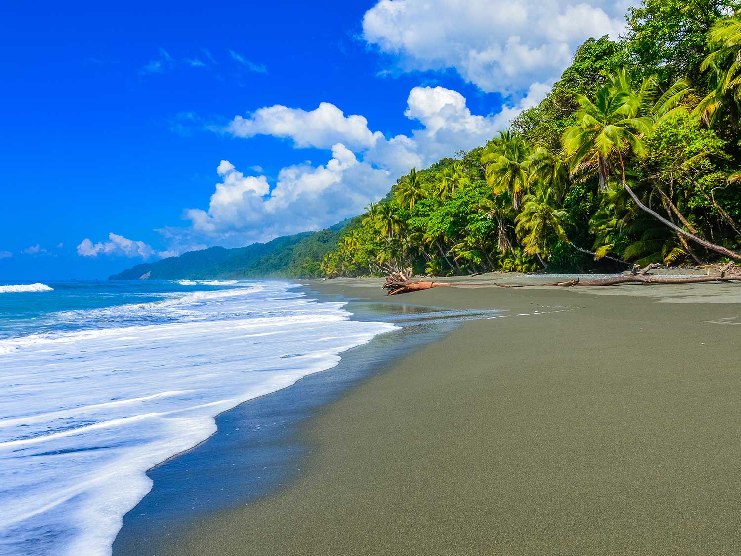 Todo lo que necesita saber para visitar Costa Rica ahora mismo 9