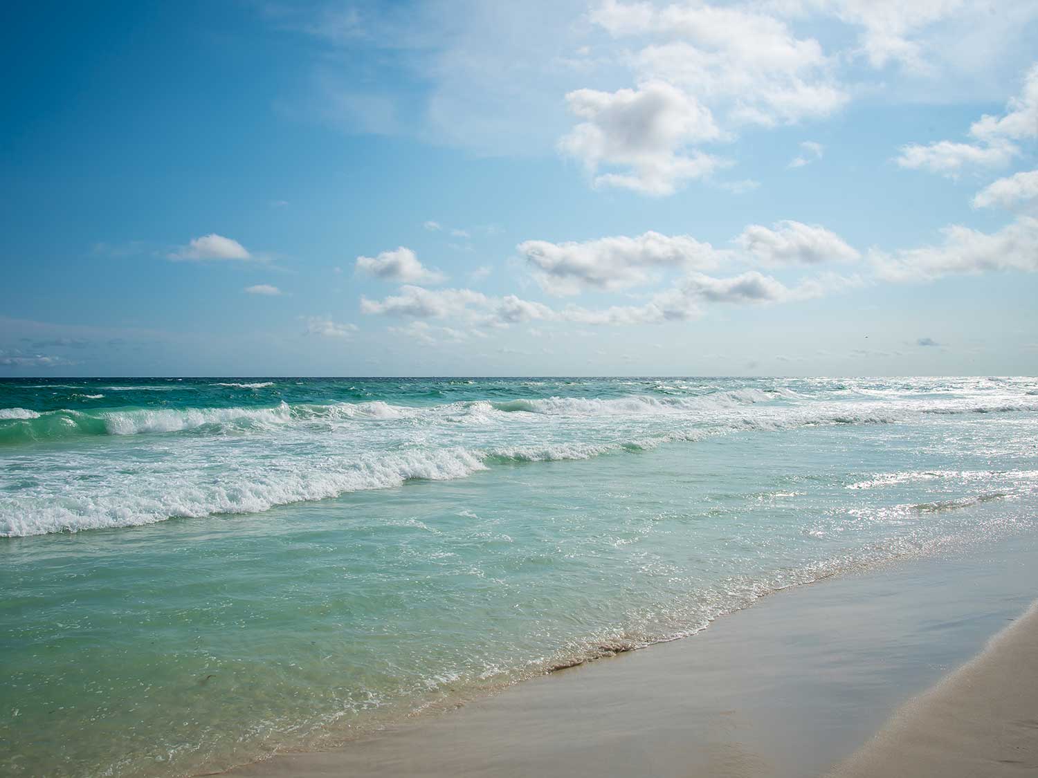 Las mejores playas del Panhandle de Florida 11