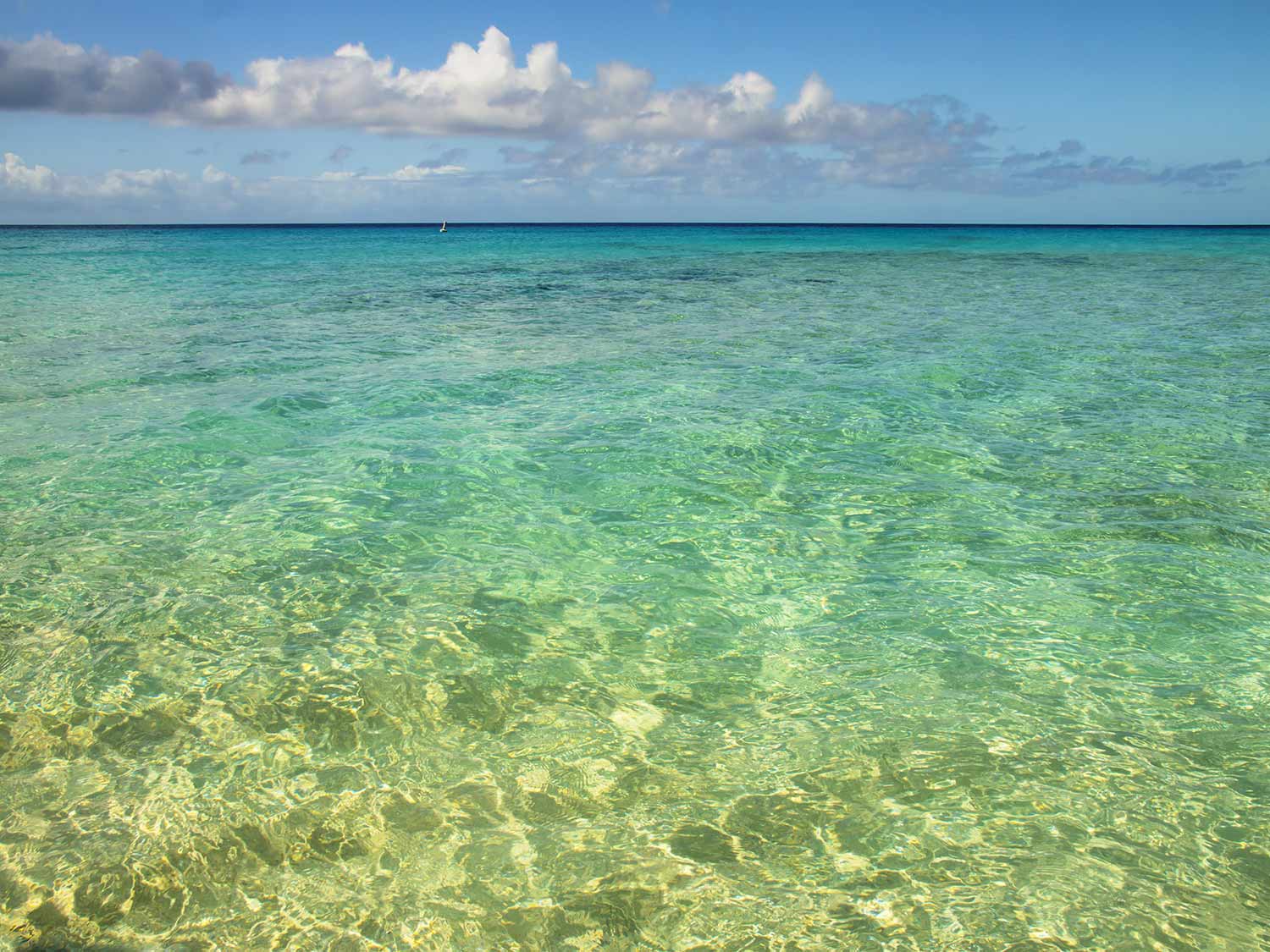 Las mejores playas de Islas Turcas y Caicos 8