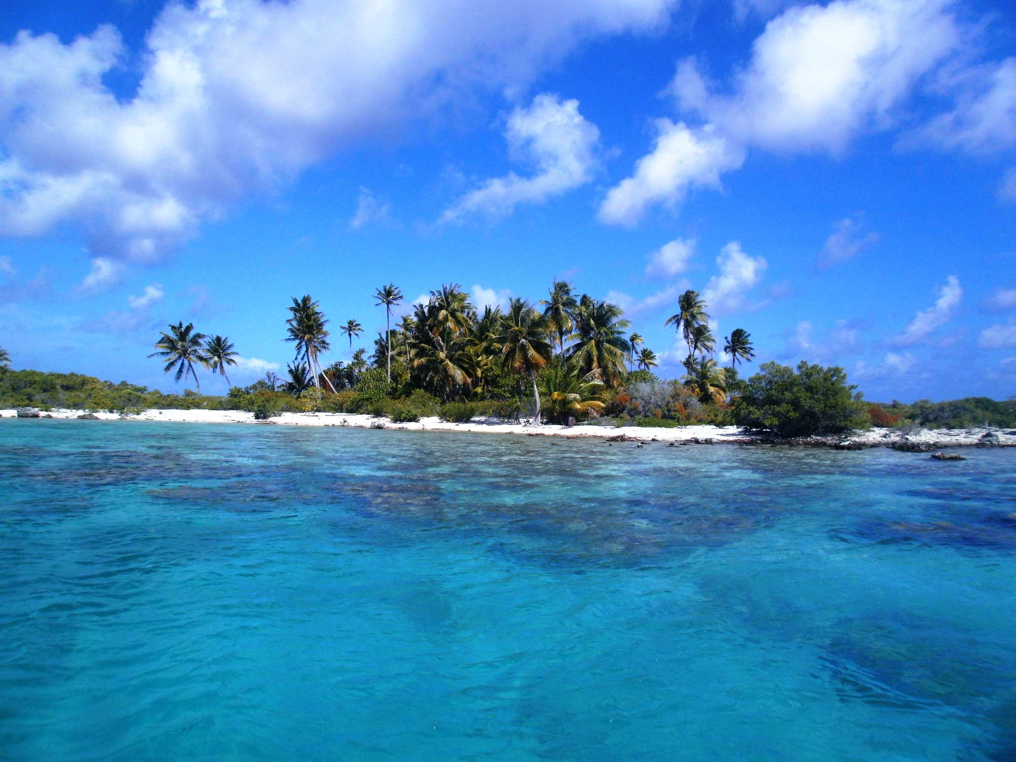 Islas privadas en venta por menos de $500K 10