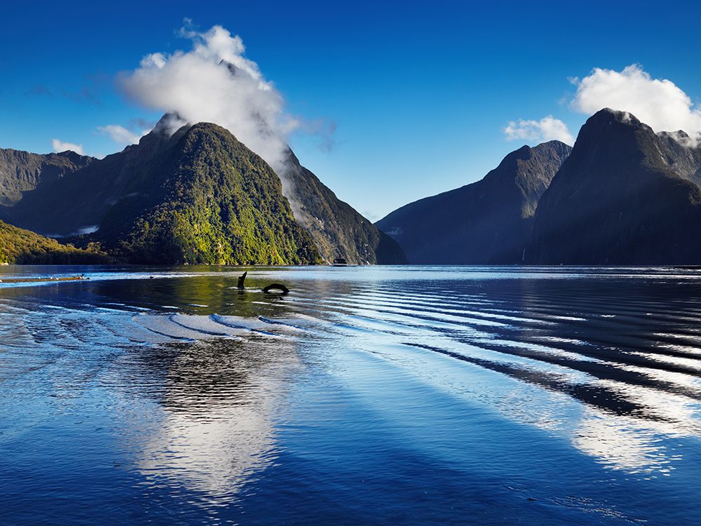 Vacaciones exóticas: Cómo pasar 10 días en Nueva Zelanda 6