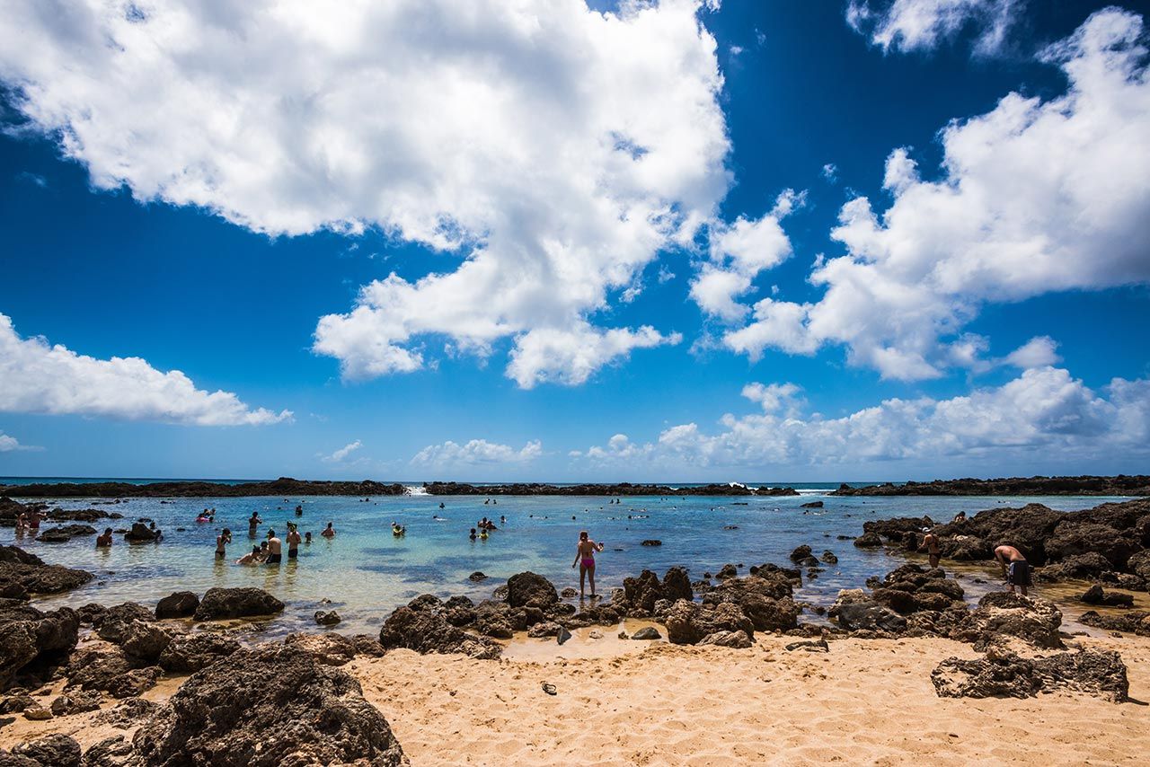 Las mejores playas de la costa norte de Oahu 8