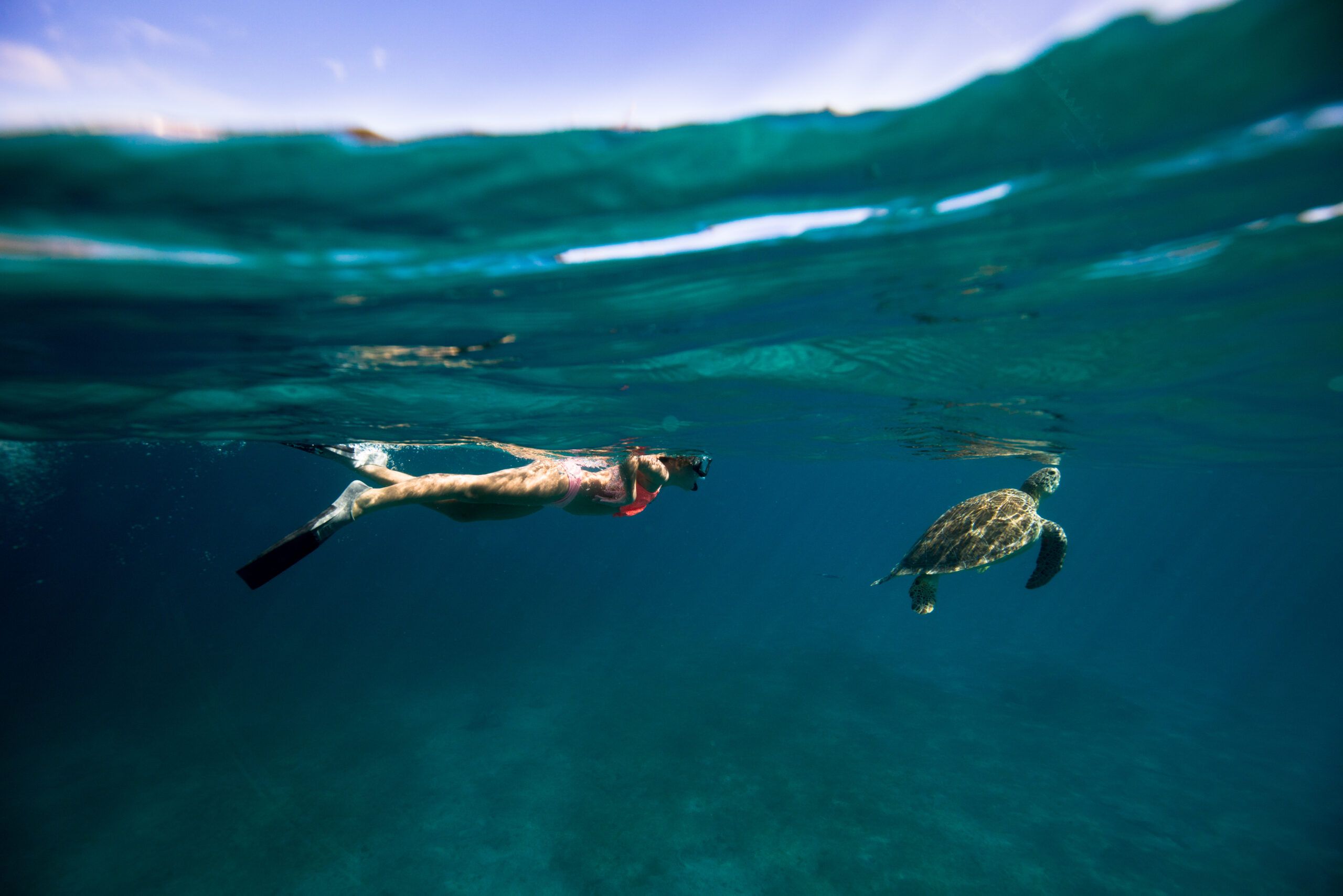 10 Resorts donde puedes bucear y nadar con tortugas marinas 4