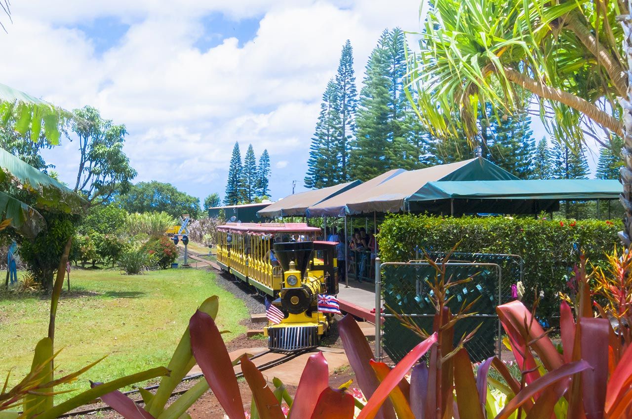 Hawái 7 cosas que hacer en Oahu más allá de la playa de Waikiki 6