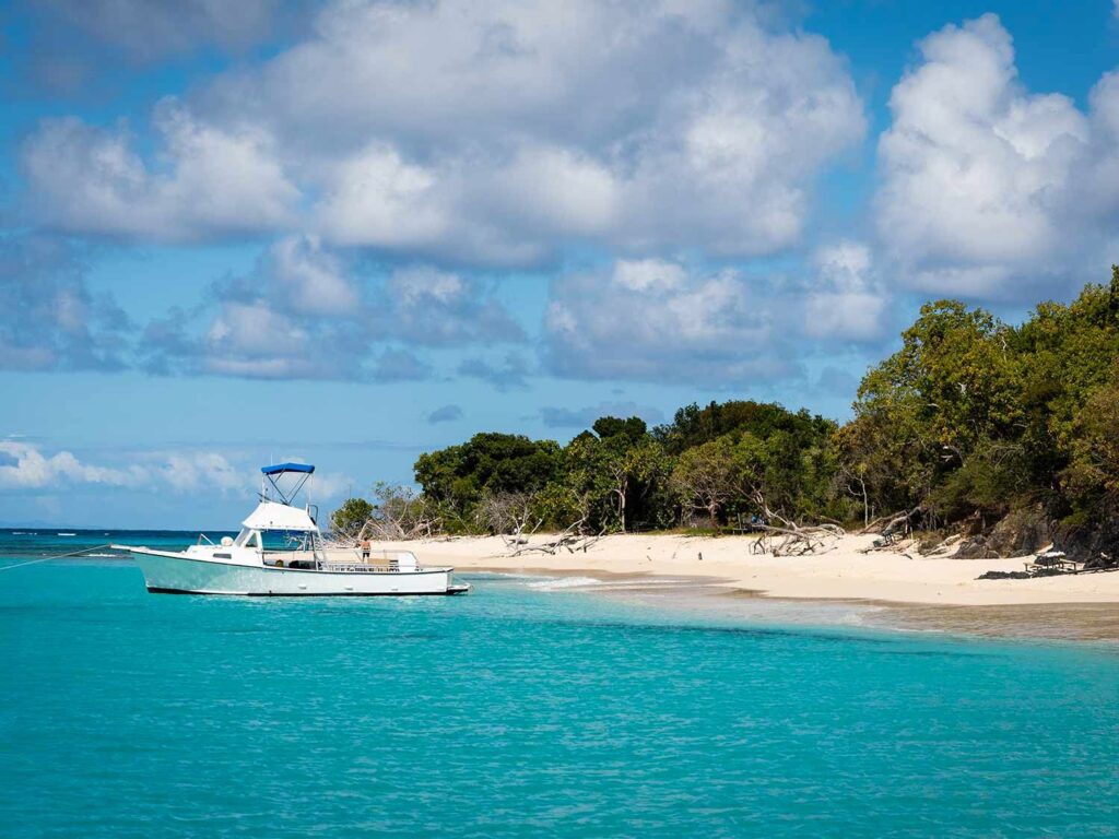Los mejores lugares para hacer snorkel en las Islas Vírgenes de EE.UU. 4