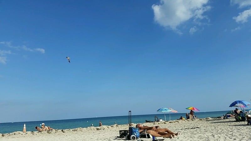 10 Mejores playas nudistas de Florida (con fotos) 3