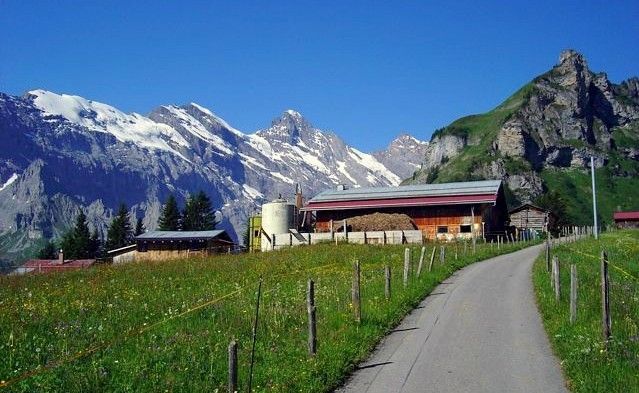 Viajes en solitario de Suiza con $ 1000: Guía de viaje de mochilero 14