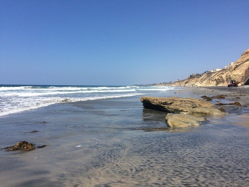 10 Mejores playas de perros en San Diego, California 6