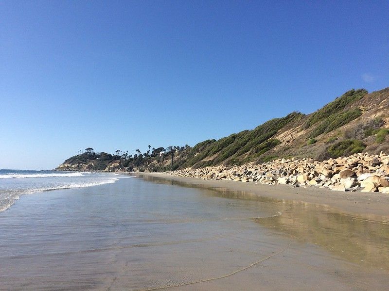 10 Mejores playas de perros en San Diego, California 10