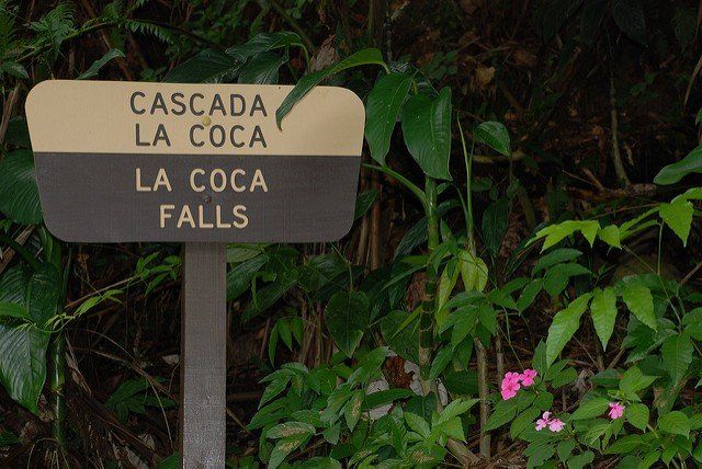 Cosas que hacer en el Bosque Nacional de El Yunque 14