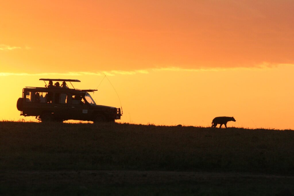 ¿Kenia o Sudáfrica para una aventura de Safari? 5