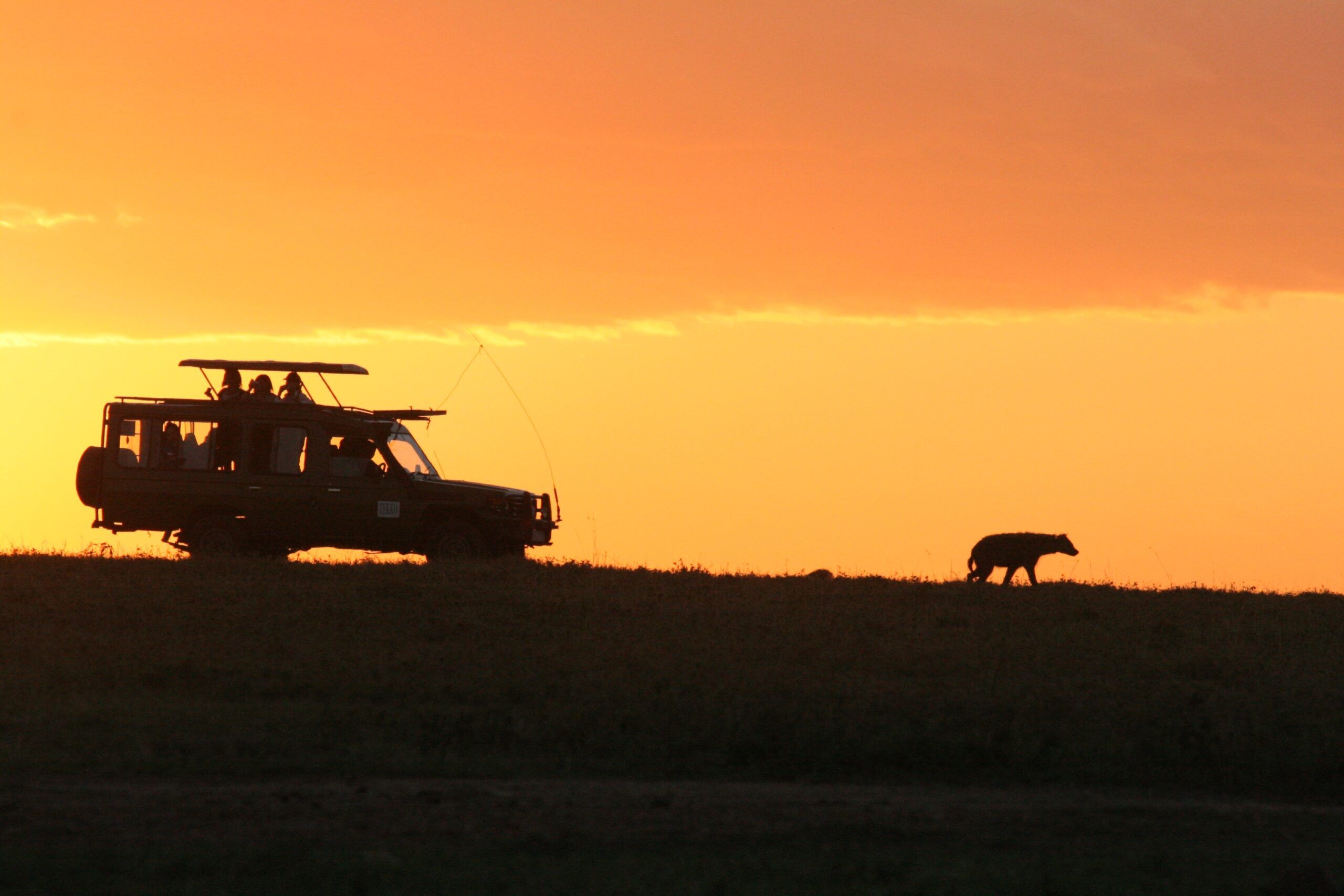¿Kenia o Sudáfrica para una aventura de Safari?