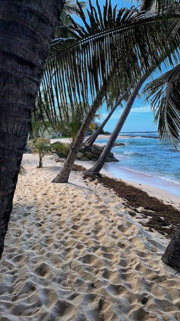 15 Mejores playas en Barbados 14