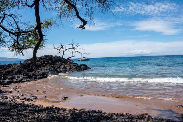 Makena: Disfruta de la playa más grande de Maui 2