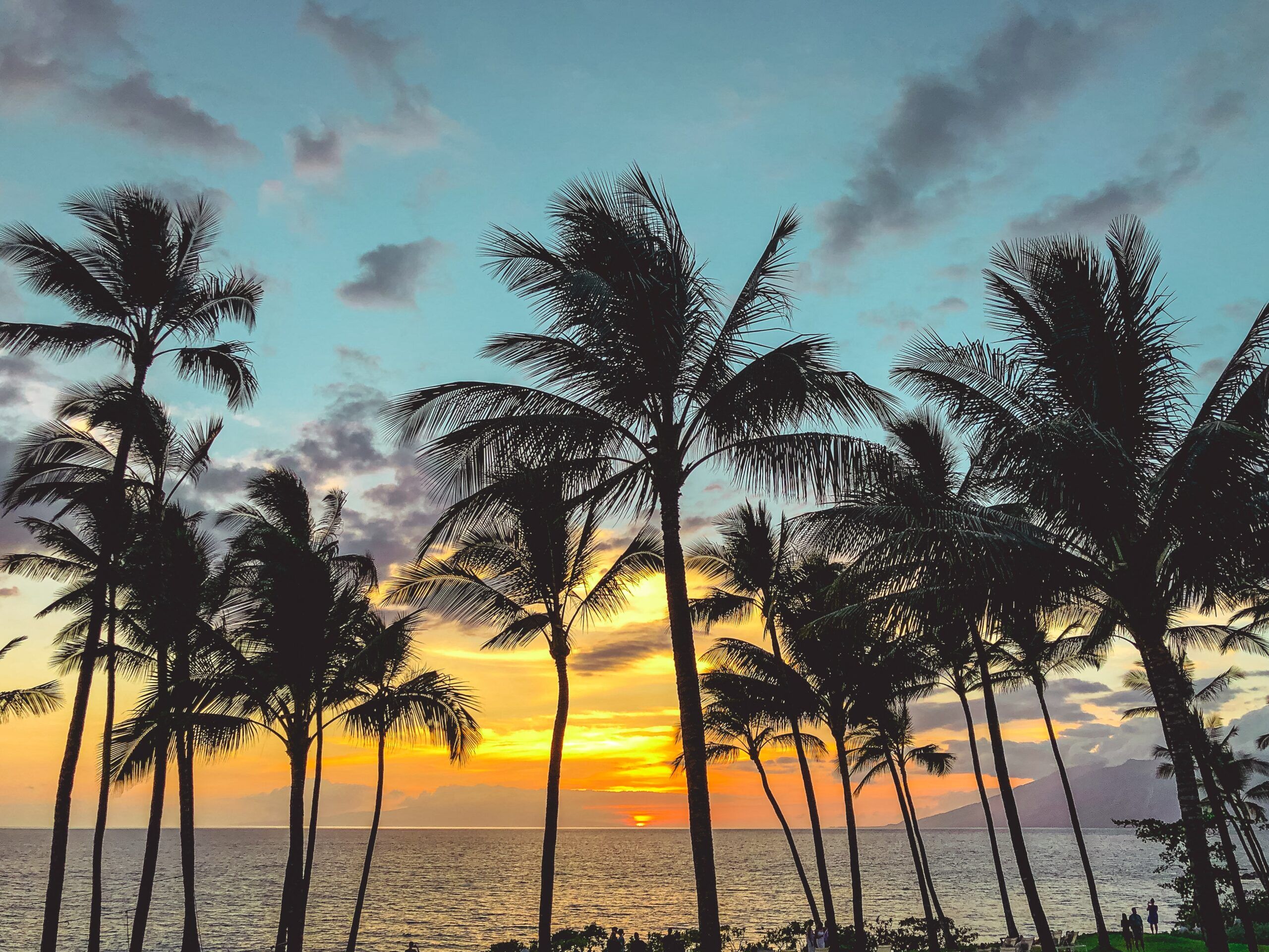 Camping en Maui: Todo lo que necesitas saber 11