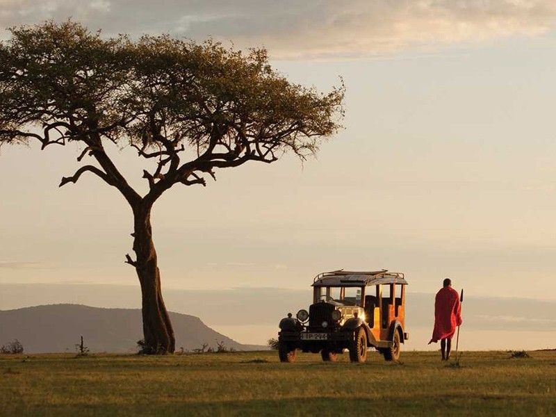 ¿Kenia o Sudáfrica para una aventura de Safari? 4