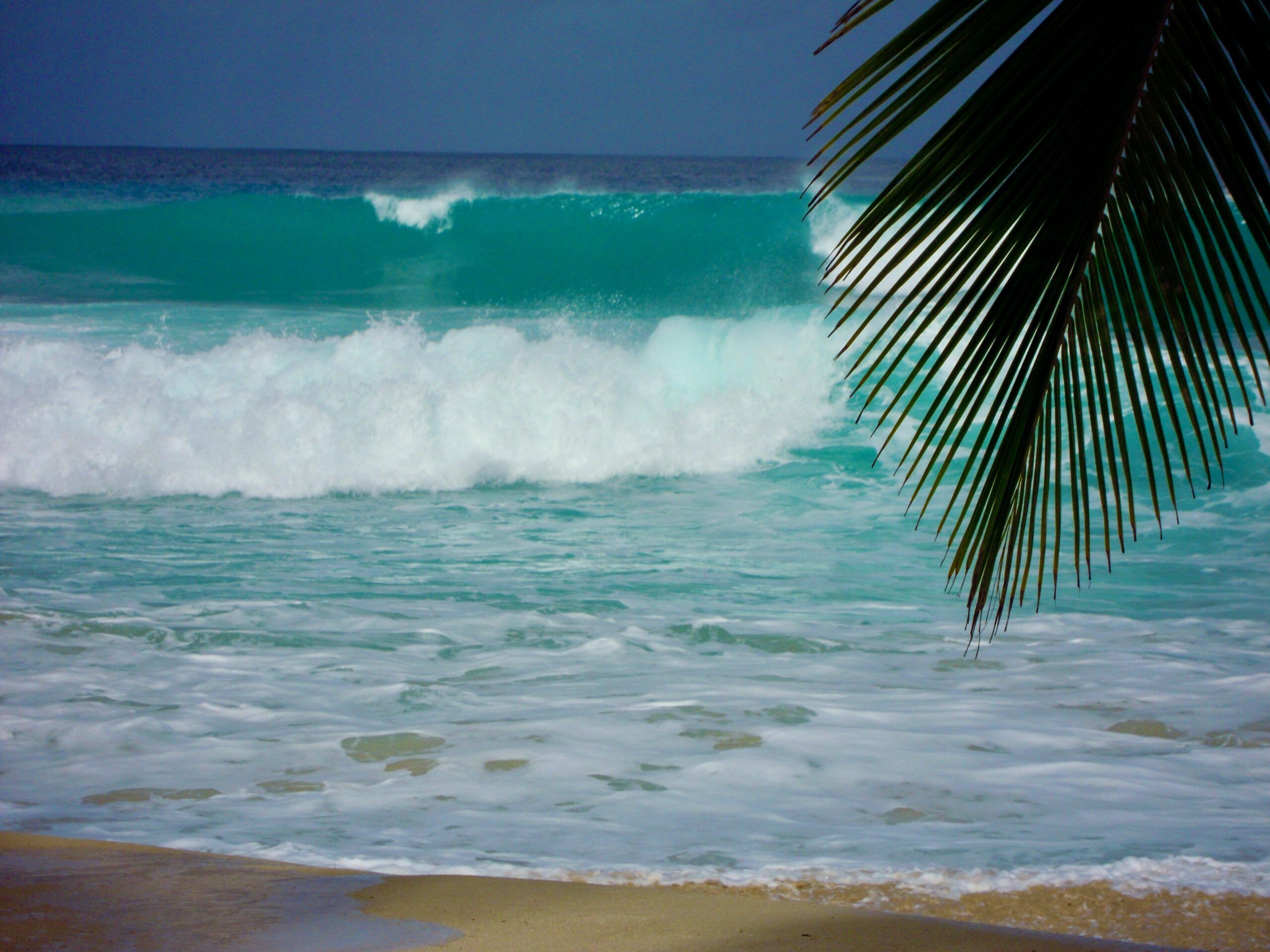 15 Mejores playas en Barbados 7