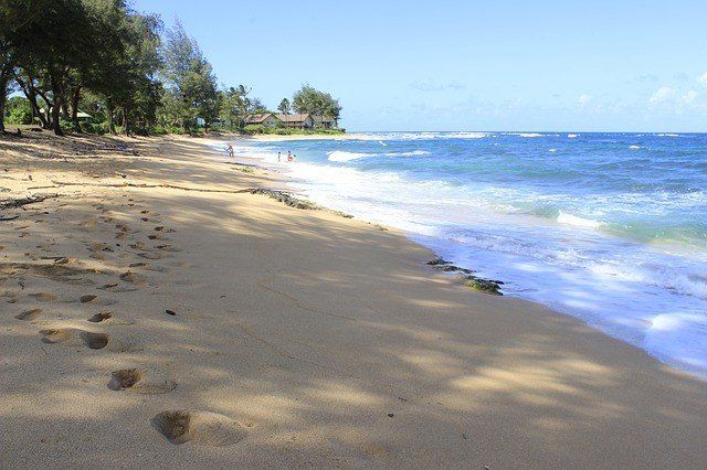 Maui vs The Big Island: ¿Qué destino es mejor? 6