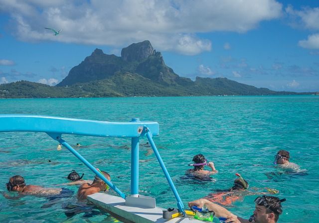 Nadar con tiburones en Bora Bora: Todo lo que necesitas saber 2