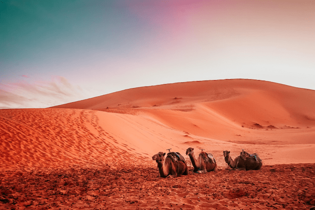 Luna de miel de Marruecos: dónde alojarse, qué hacer y más 18
