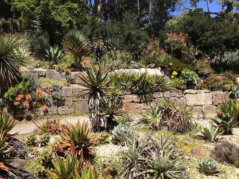 16 Mejores jardines botánicos en California que no deberías perderte 2
