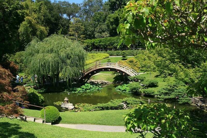 16 Mejores jardines botánicos en California que no deberías perderte 6