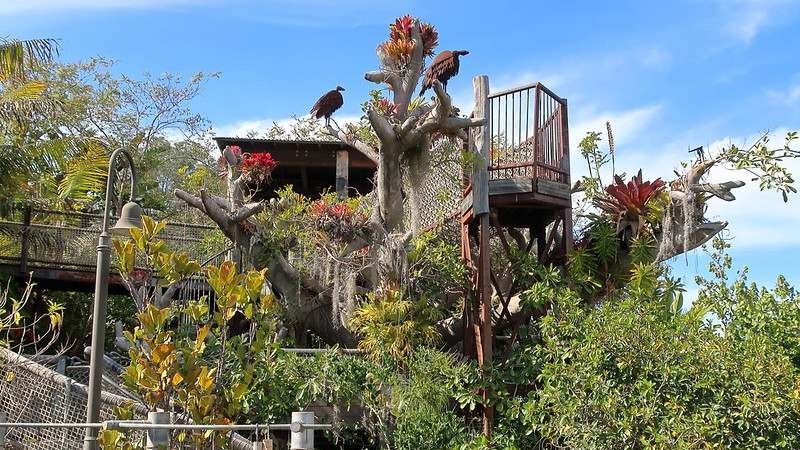 16 Mejores jardines botánicos en California que no deberías perderte 8