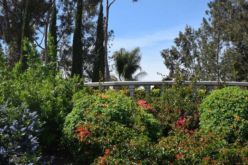 16 Mejores jardines botánicos en California que no deberías perderte 12