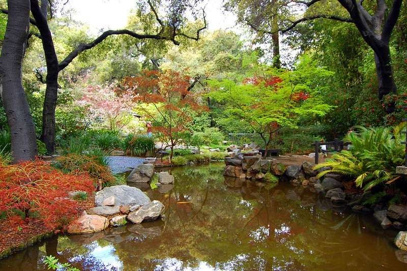 16 Mejores jardines botánicos en California que no deberías perderte 15