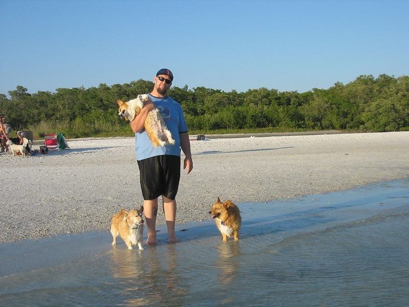 14 Mejores playas amigables para perros en Florida 2